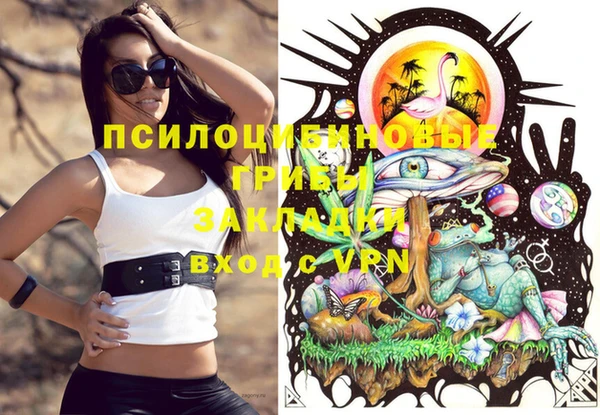 ALPHA PVP Елизово